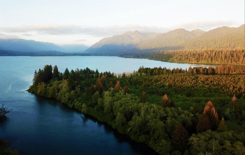 Lake Quinault