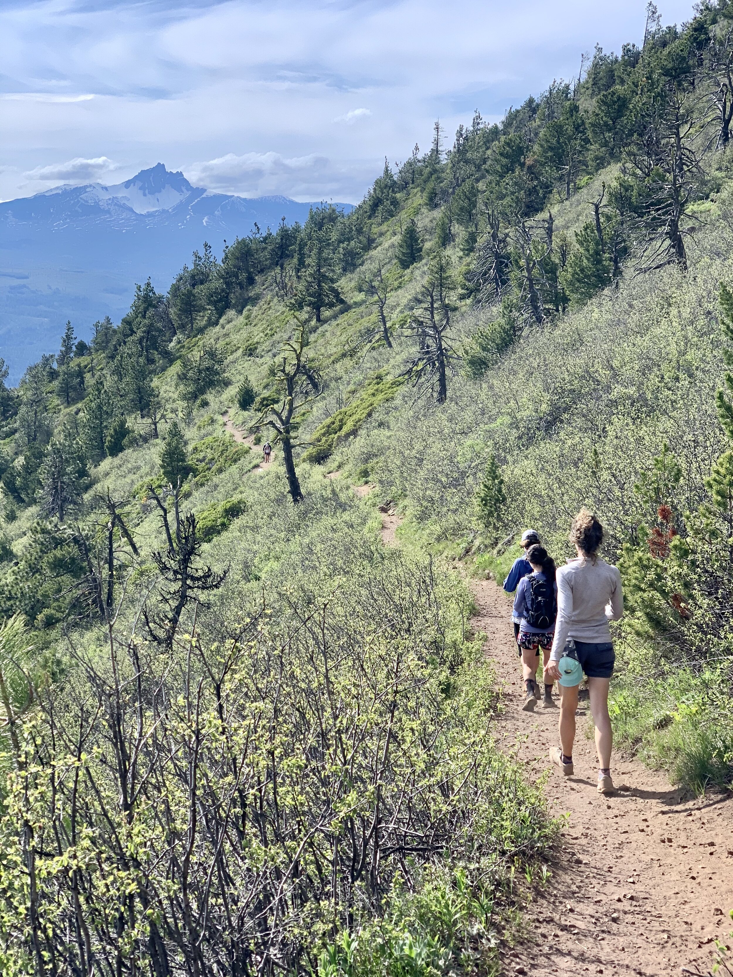 Black Butte