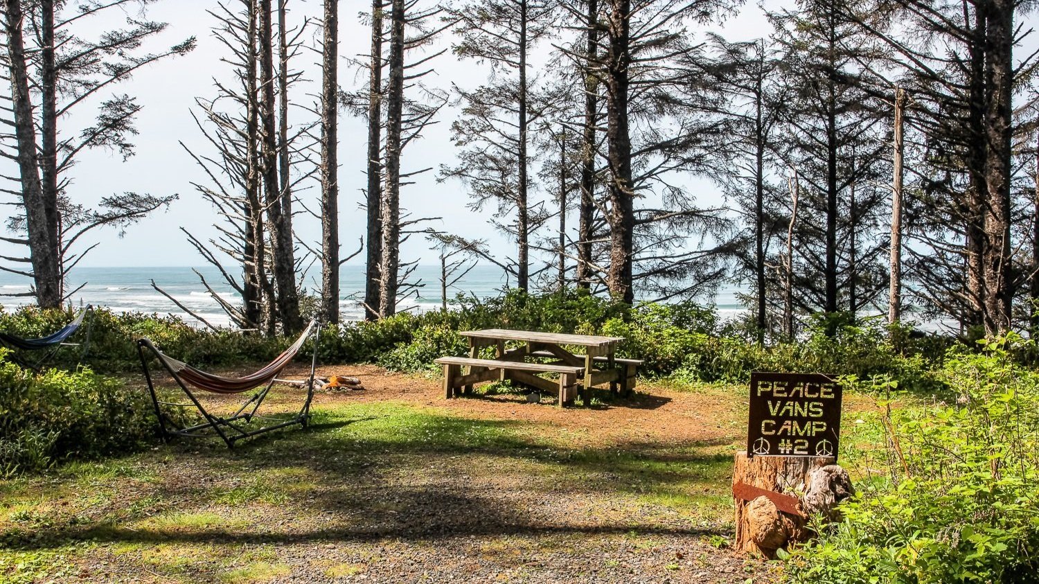 Wild Washington Coast Lookout