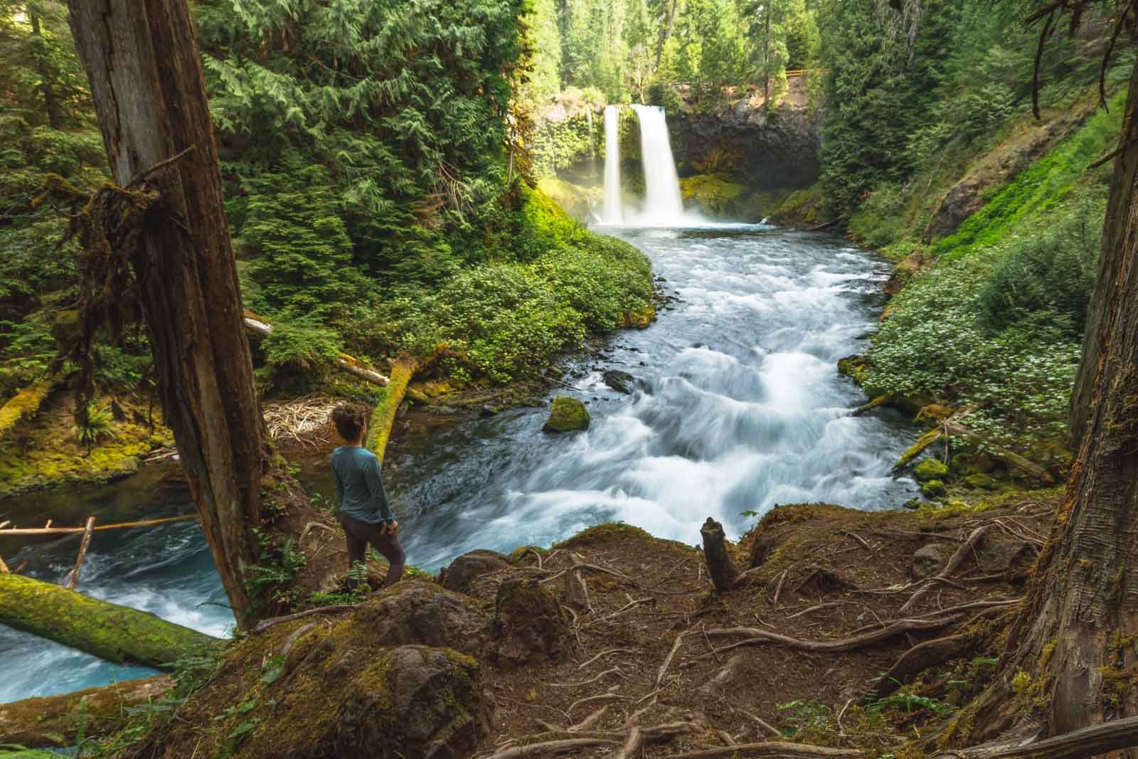 koosah-sahalie-falls-trail.jpg