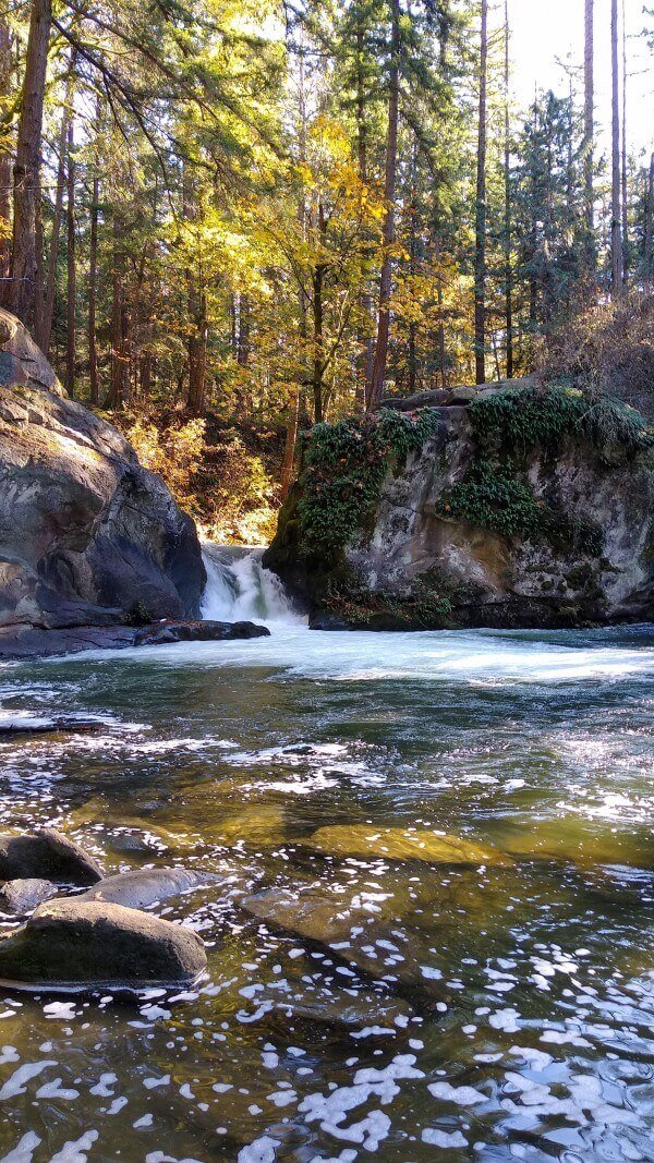 Whatcom Falls