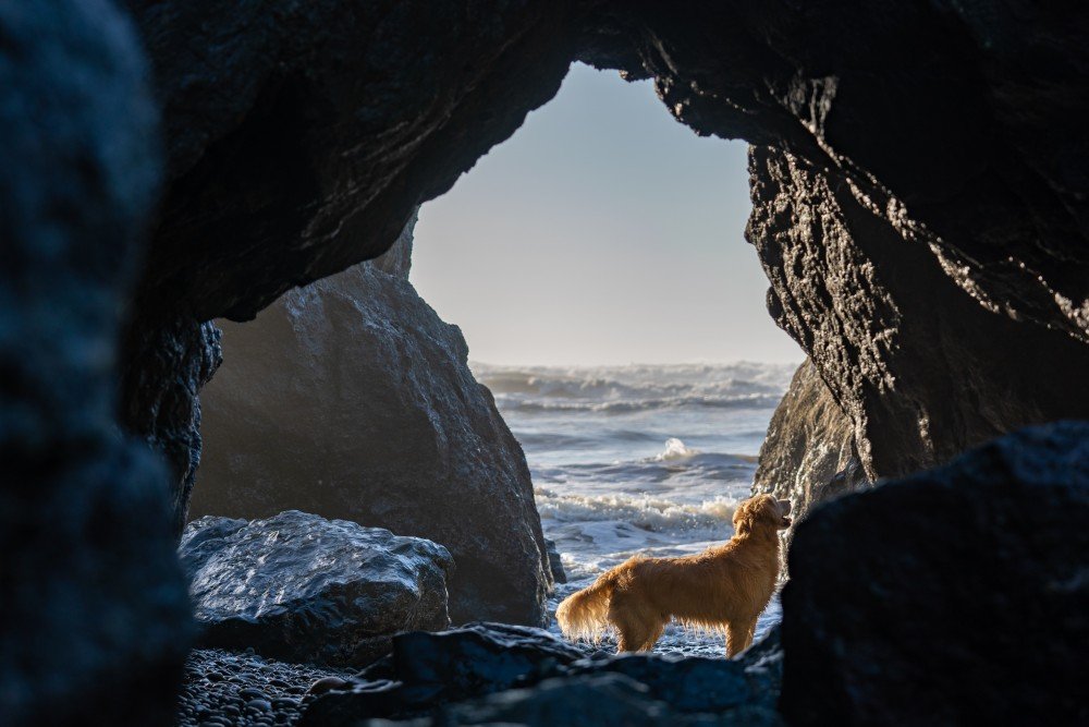 Ruby Beach